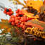 GOLDEN HARVEST 183cm Faux Garland