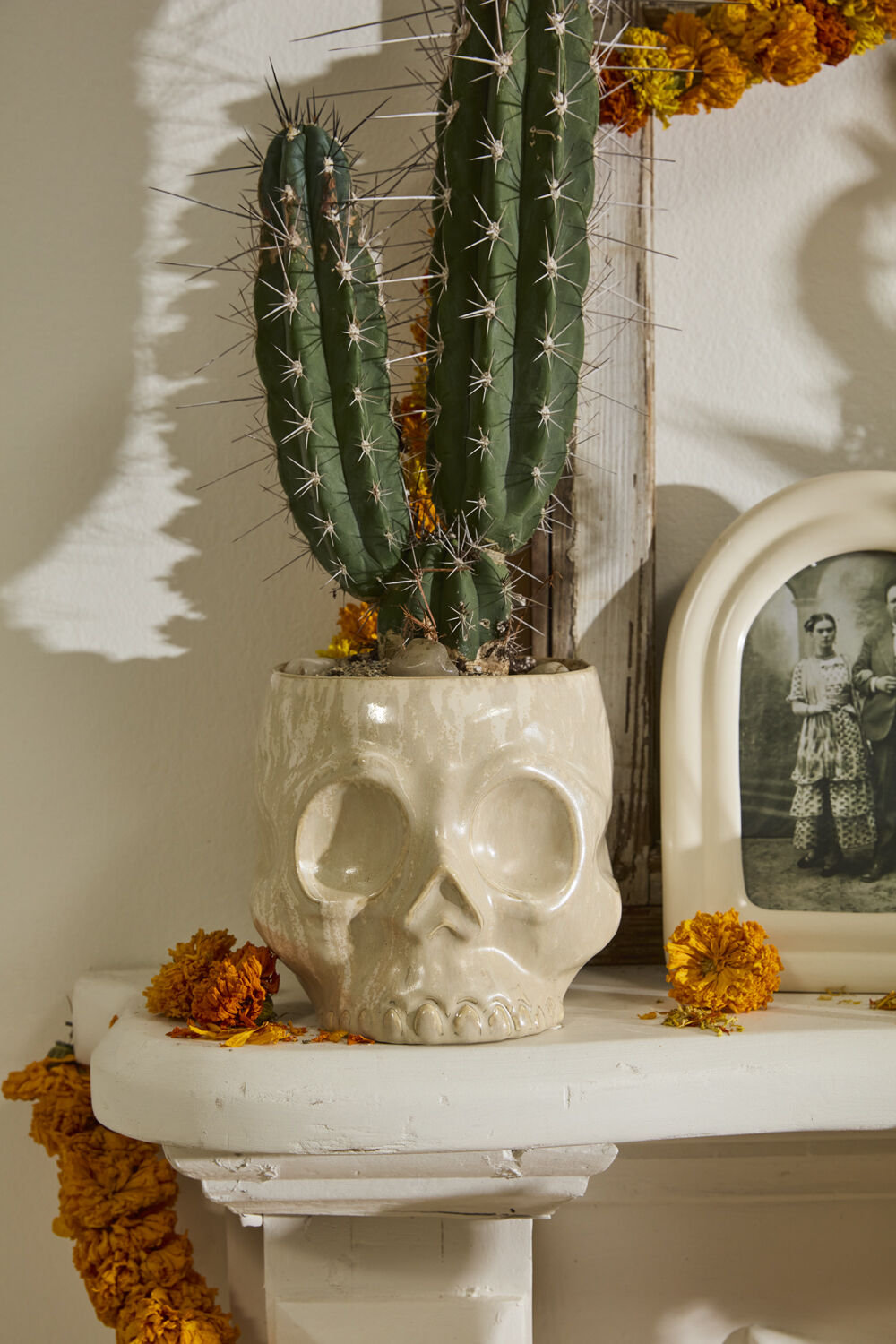 Haunting Skull Pot 6.5"x 7.5"x 6.25"