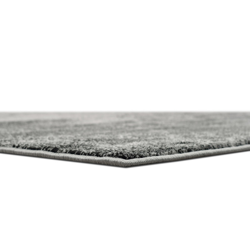 Fatheree Indoor Rug, Runner 2' x 6'11"