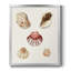 Pastel Knorr Shells V, toile encadrée de qualité supérieure - prête à être accrochée-2100796959-2100796957