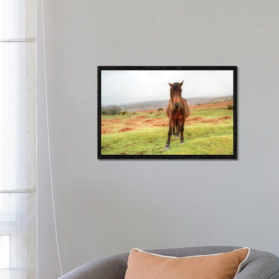 Stare down 1 Piece Wall Art on Canvas
