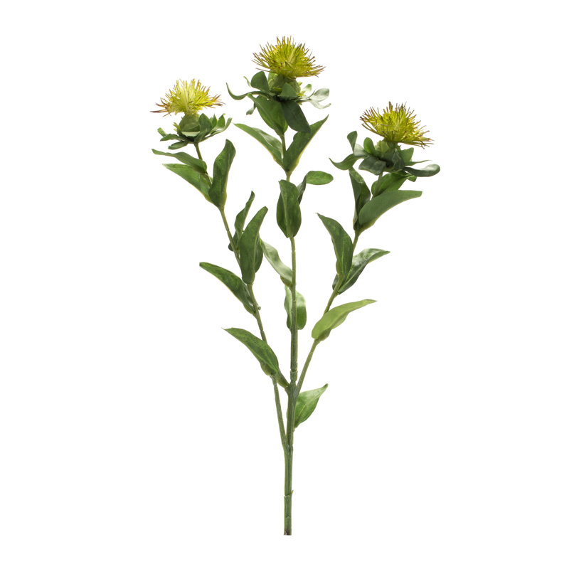 Thistle Steam