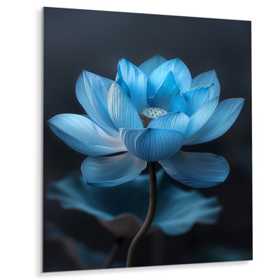 Bleu monochromes lotus rayonnants I - Lotus Wall Art Living Room