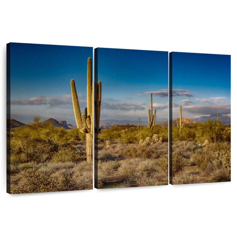 Harnek Arizona Desert Cactus, 28" H x 45" W