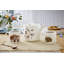Classic Wrendale Designs  - Tea for Two Set 