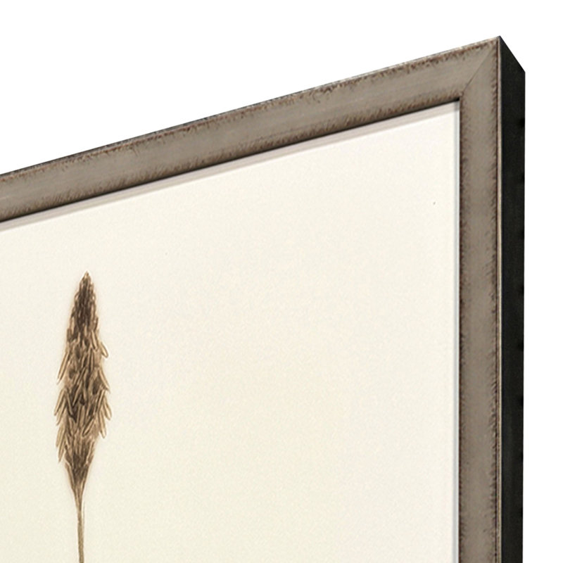Varying Grasses Framed Art