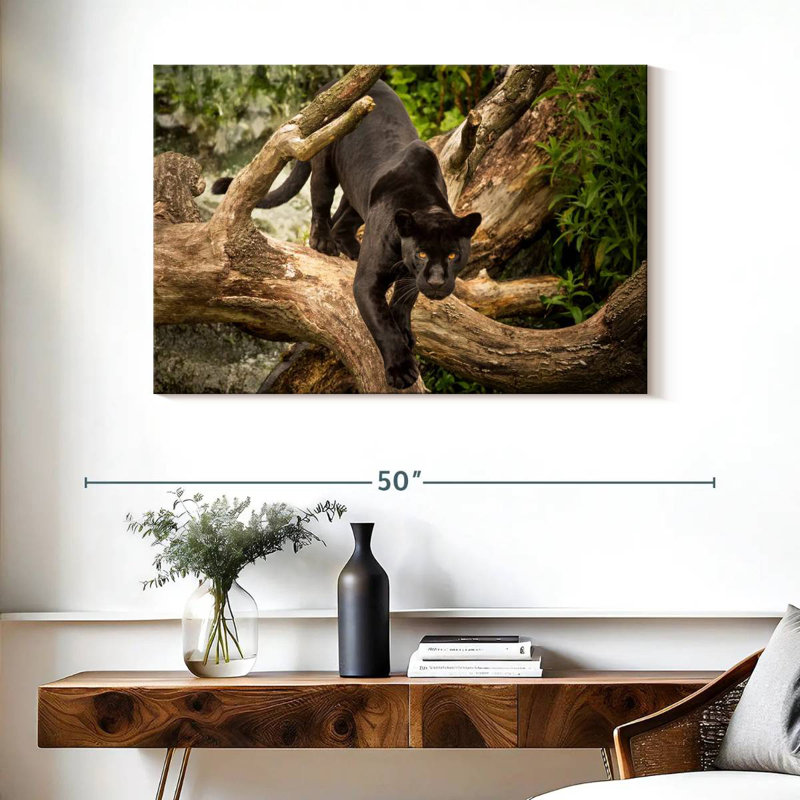 Brampt Prowling Black Jaguar