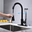 Robinet de cuisine avec douchette extractible-125772399
