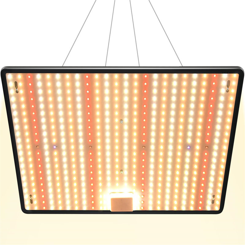 Brayden Studio Grow Light
