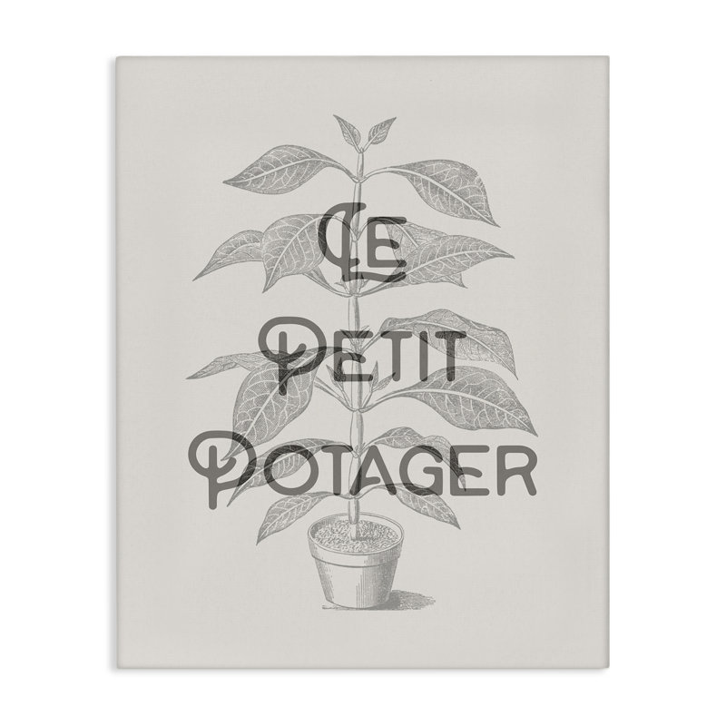 «Vintage French Plant», toile par Lil 'Rue, H 30 po x l 24 po
