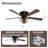 Hentges 48" W Caged Ceiling Fan with Light