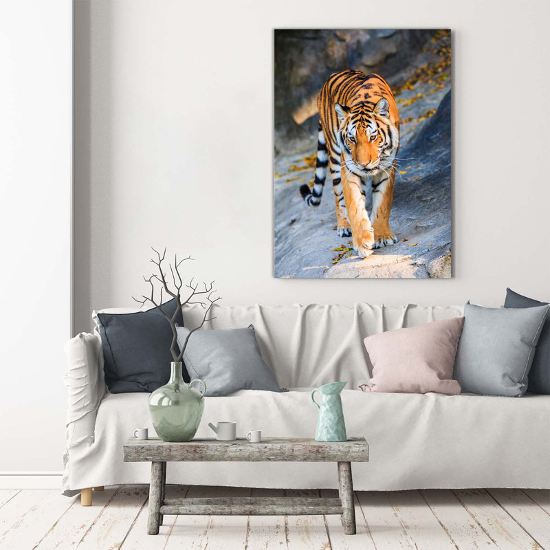 Tiger - Wrapped Canvas Print
