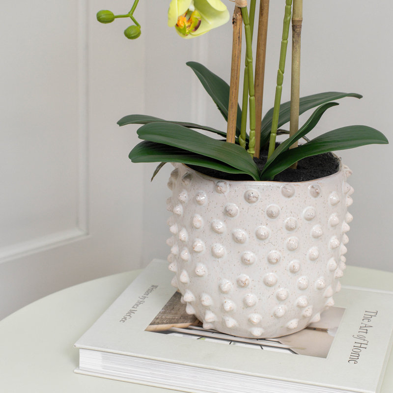 Arrangement