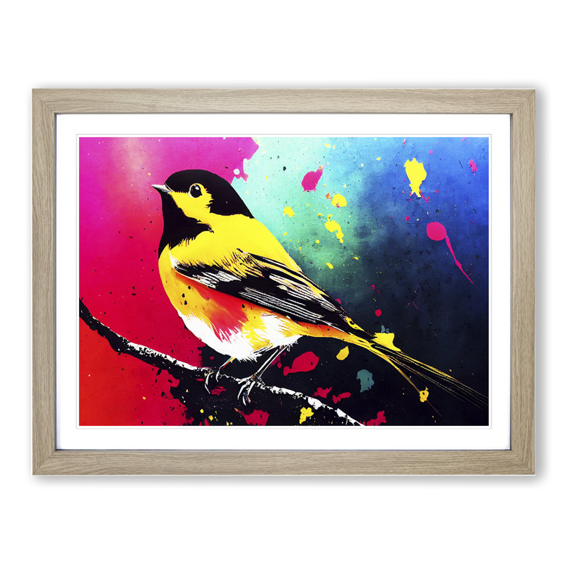 Robin Bird Splash Vol.4 Abstract - Single Picture Frame Print, 34cm H x 46cm W x 2cm D, Oak Framed