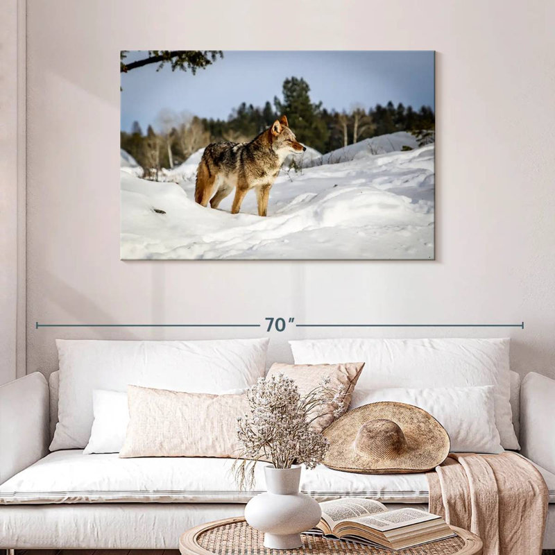 Brampt Winter Snow Coyotes, 30" H x 45" W