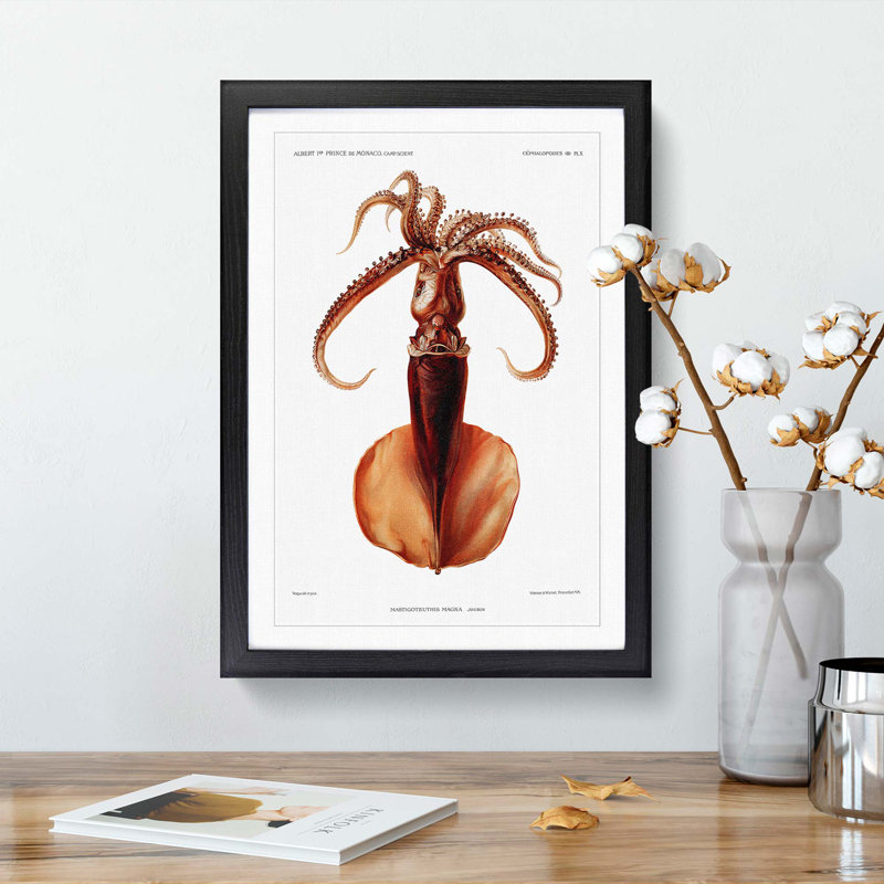 Squid Illustration by Albert I - Picture Frame Painting Print, 36cm H x 27cm W x 2cm D, Black Framed