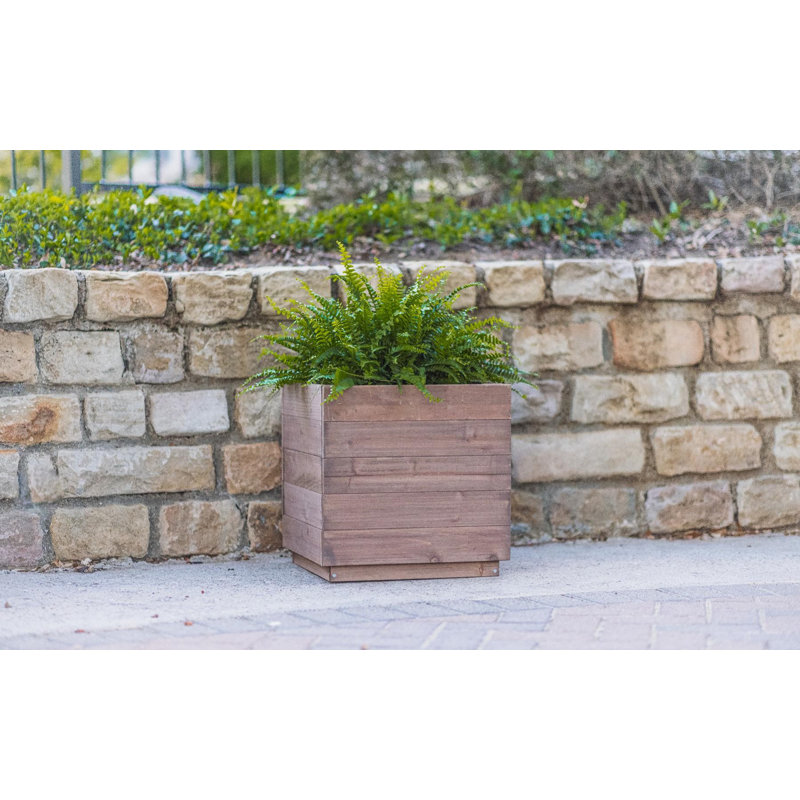 Boîte à fleurs Azha, H 15 po x l 15 po x P 15 po