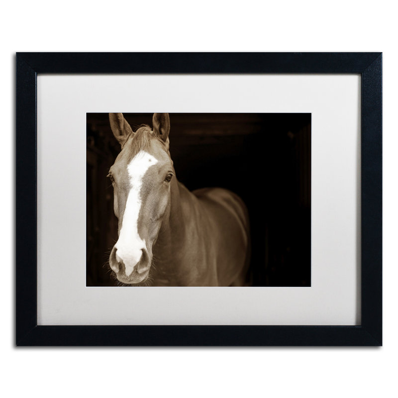 « cheval portrait », reproduction de photo sur toile encadrée, H 16 po x l 20 po x P 0,5 po