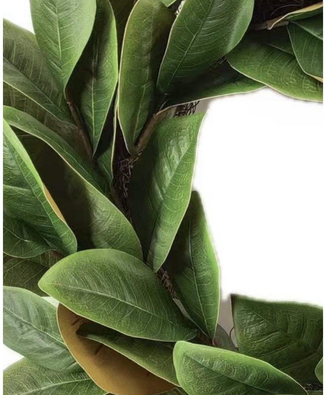 20" Artificial Farmhouse Blossom Cluster Greenery Magnolia Leaves Everyday Front Door Wreath