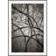 My Kingdom 4 Print by Ralph Mercer-309994583