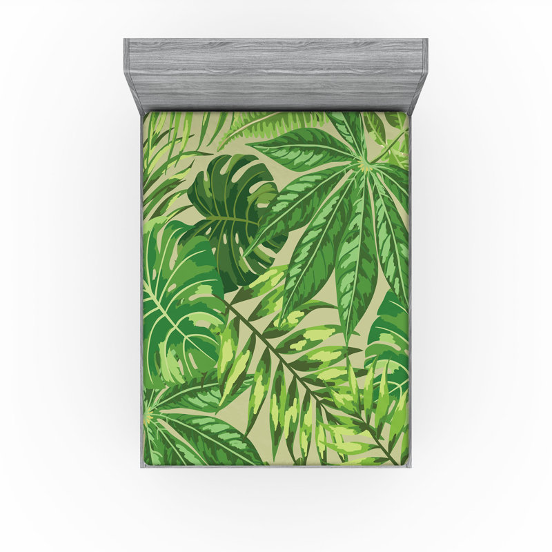 Drap-housse Ambesonne, paquet de 2, Drap-housse grand, Vert pomme, vert fougère / floral