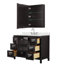 Daria 48'' W Vanity-726267914-726223843-726223842