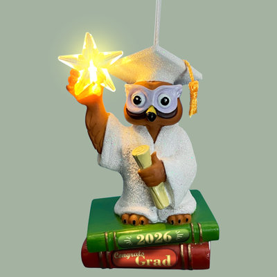 Décoration de sapin de Noël pour la remise des diplômes 2026 avec étoile lumineuse souvenir - Célébrez la réussite