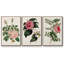 Mélange floral rose I-91887155-91887152