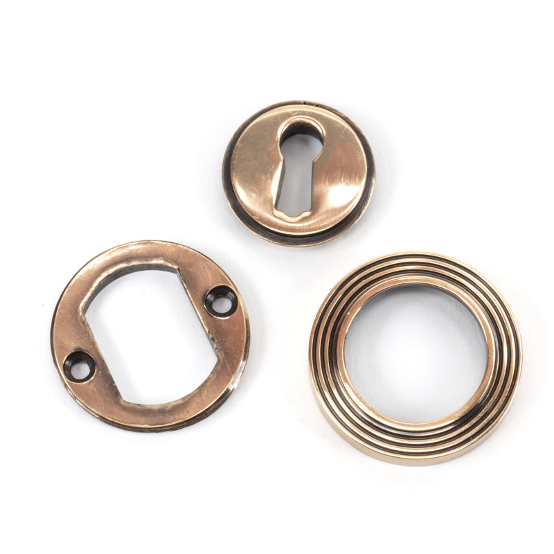 Escutcheon Door Accessory, Polished Bronze