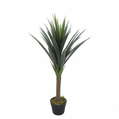 Faux Yucca Plant in Pot