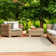 Neufeld Hand-Braided Indoor/Outdoor Area Rug
