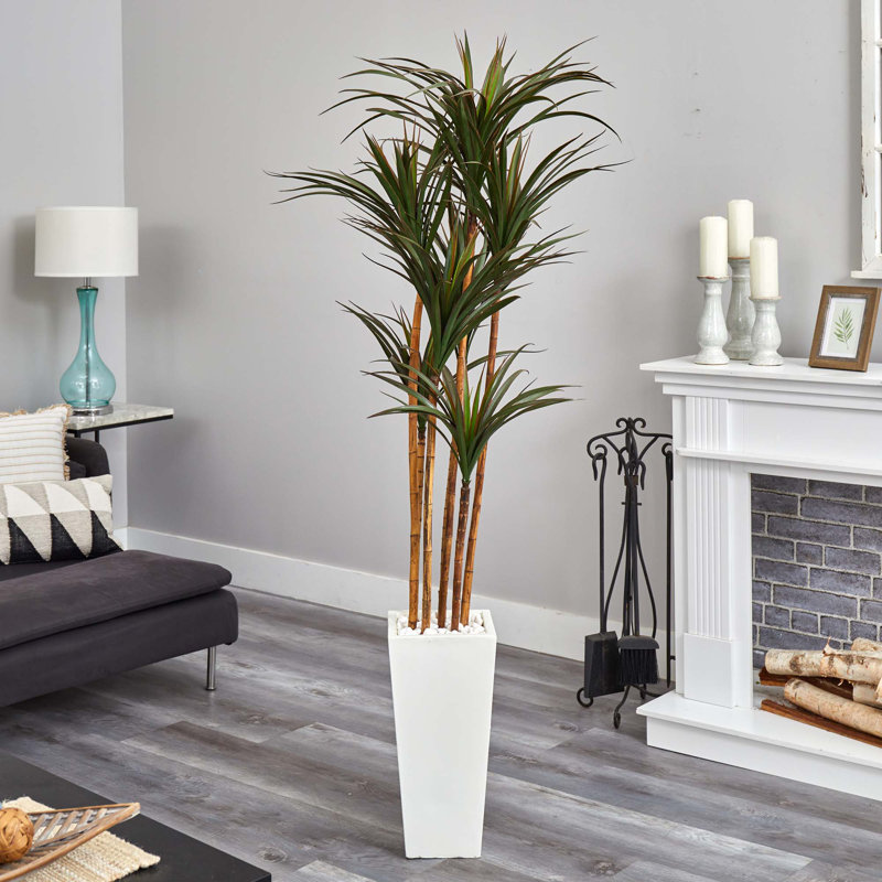 6.5ft. Giant Yucca Artificial Tree in White Planter UV Resistant