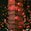 Guirlande lumineuse 50 lumières-960685580