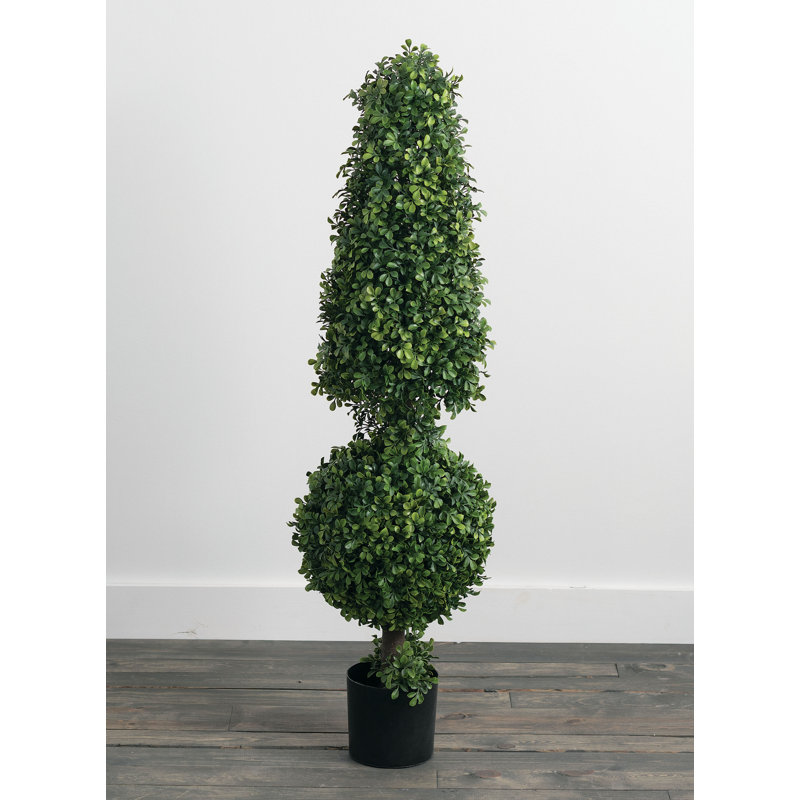 51 " H Faux Boxwood Topiary in Plastic Planter