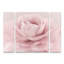 Ensemble de 3 panneaux Cora Niele «Stylisch Rose Pink»-943807419