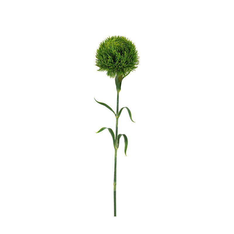 Arrangement