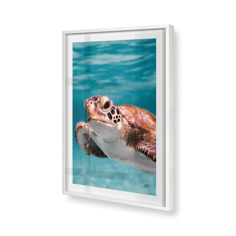 Imprimé Sea Turtle's Path II, Cadre photo blanc, H 21 po x l 17 po