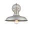 Luminaire de grange d'extérieur à 1 ampoule H 10 po Mckown-1998938482