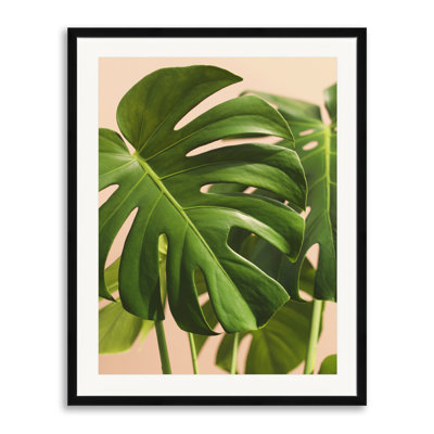 Verdure #2 Print by Alicia Bock