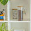 Glass Jar-69691752