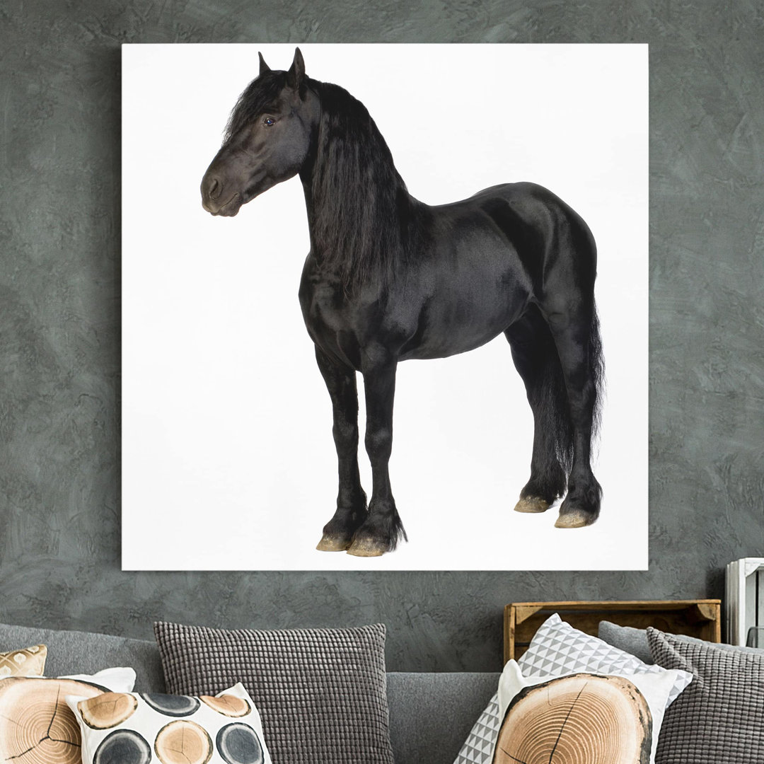 Leinwandbild Friesian Horse