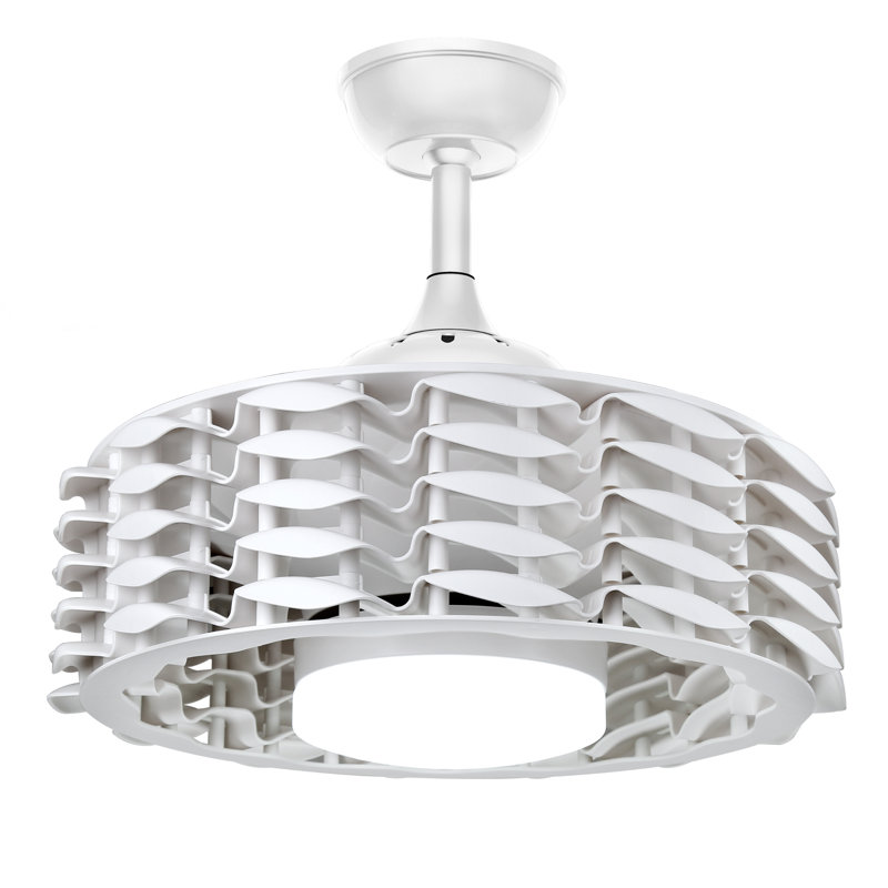 Ceiling Fan with LED Lights