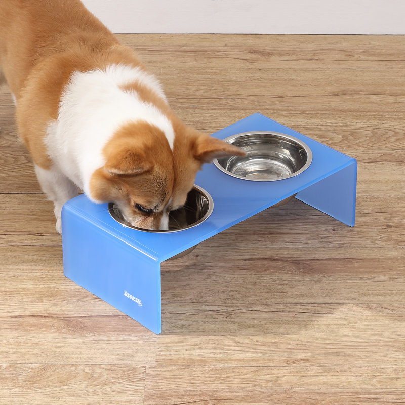 Mangeoire pour animaux Keaton, Petit (2,54 tasses / 20 oz liquides), Bleu / chrome