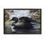 Toile flottante encadrée «Loon in Rustic Pond» par Paul Brent-726388991-726388988