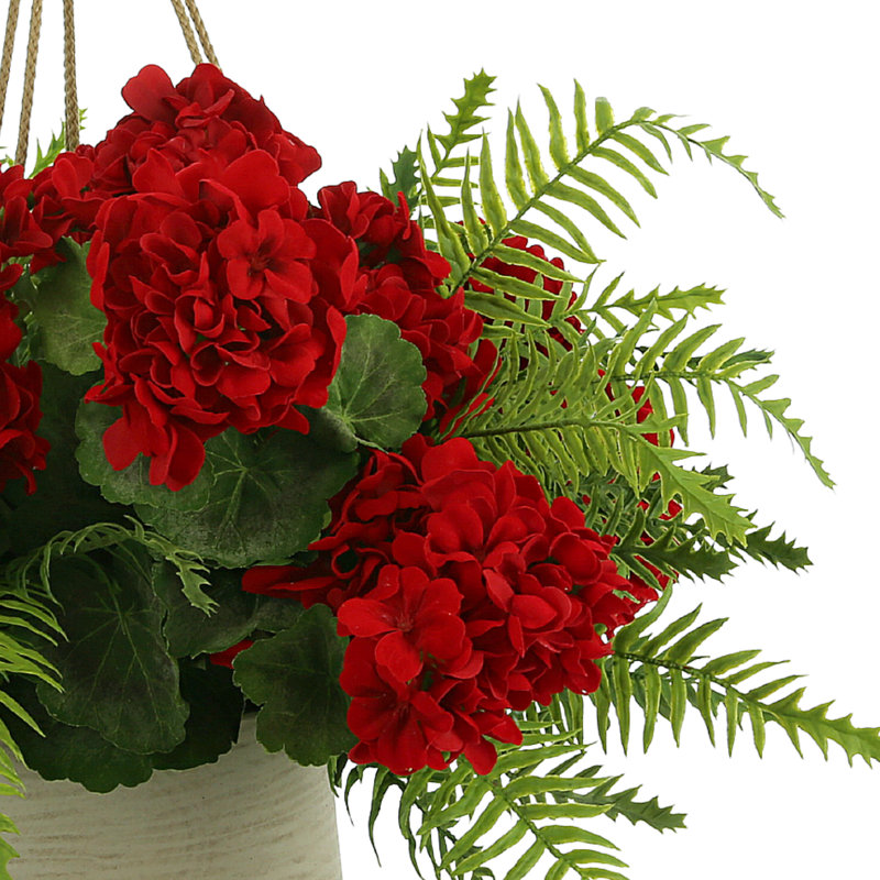 UV Protected Geranium And Fern In A Hanging  Pot