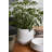 Canella Ceramic Pot Planter
