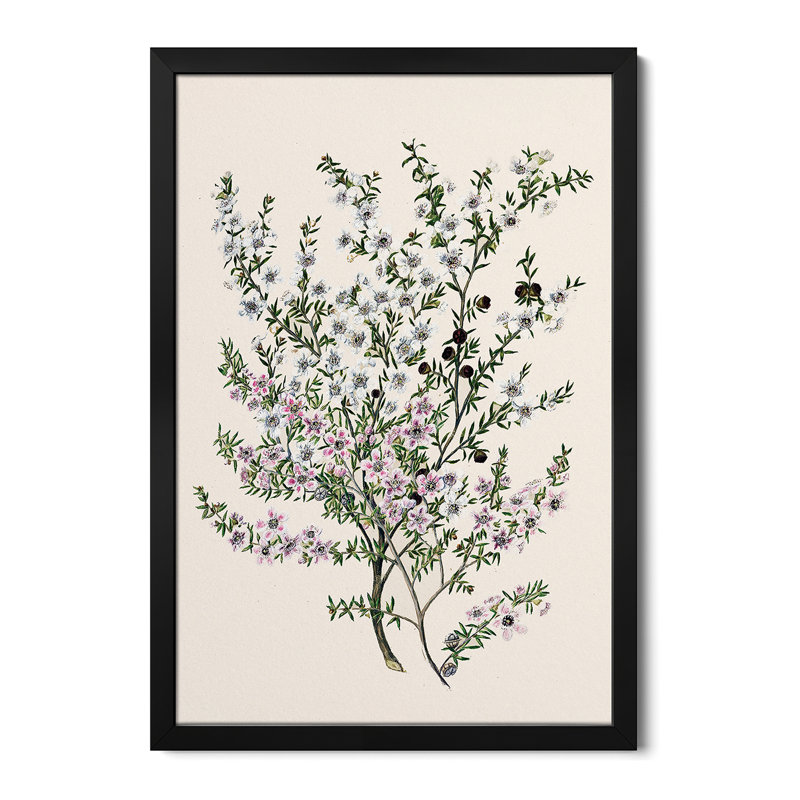 Manuk - reproduction d'art mural - affiche de galerie, H 24 po x l 16 po