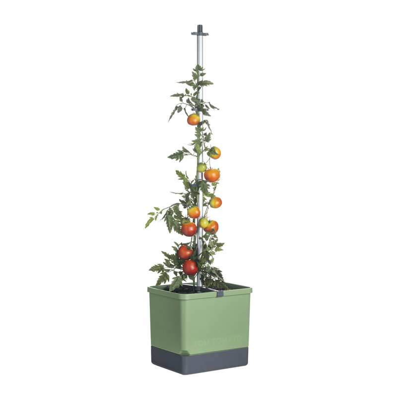 Boîte à fleurs en plastique avec treillis