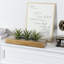 Herbes artificielles d'intérieur en boîte en bois