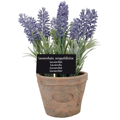 Artificial Lavender in Aged Terracotta Pot